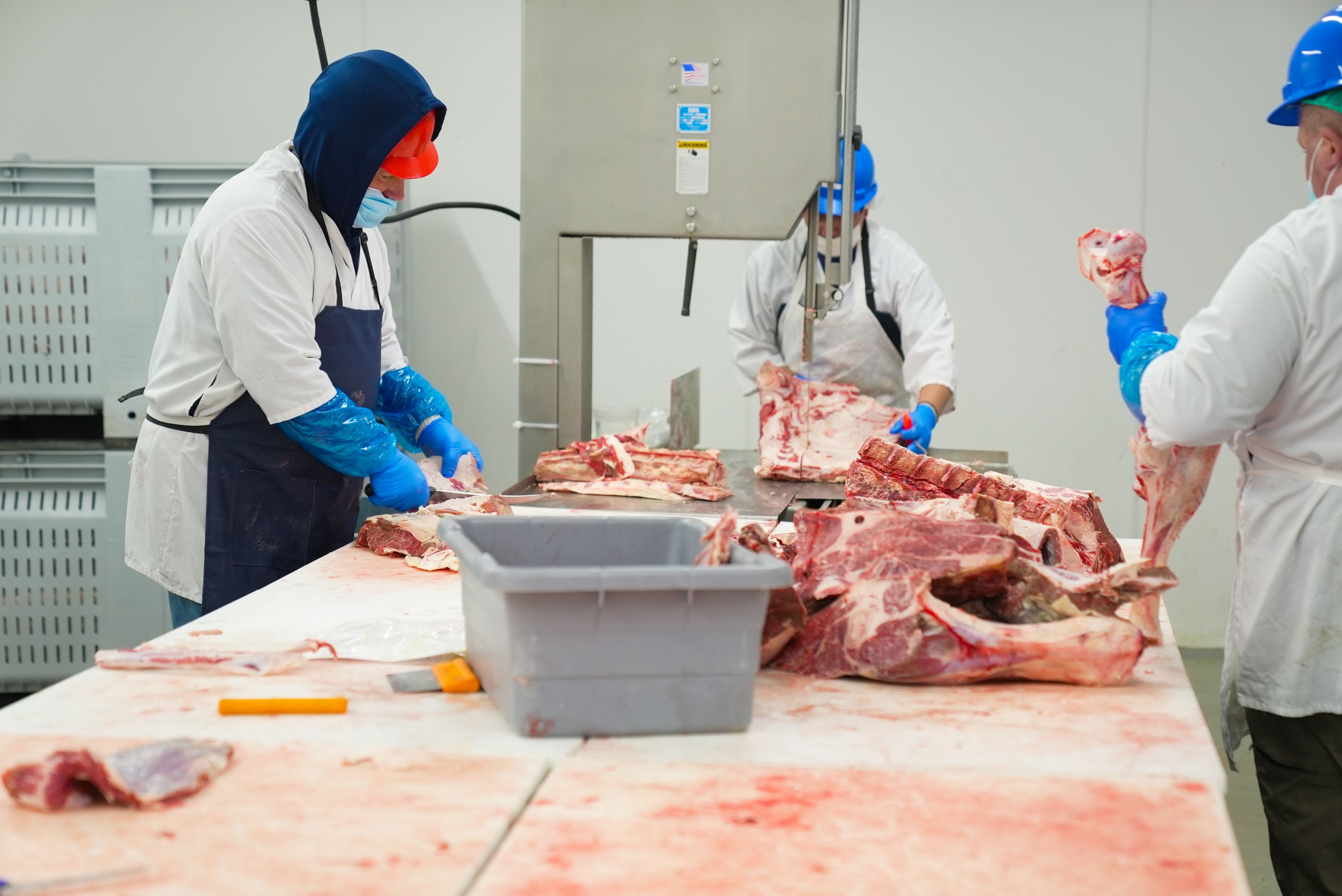 Workers wearing protective clothing cut and process beef at a commercial meat processing facility