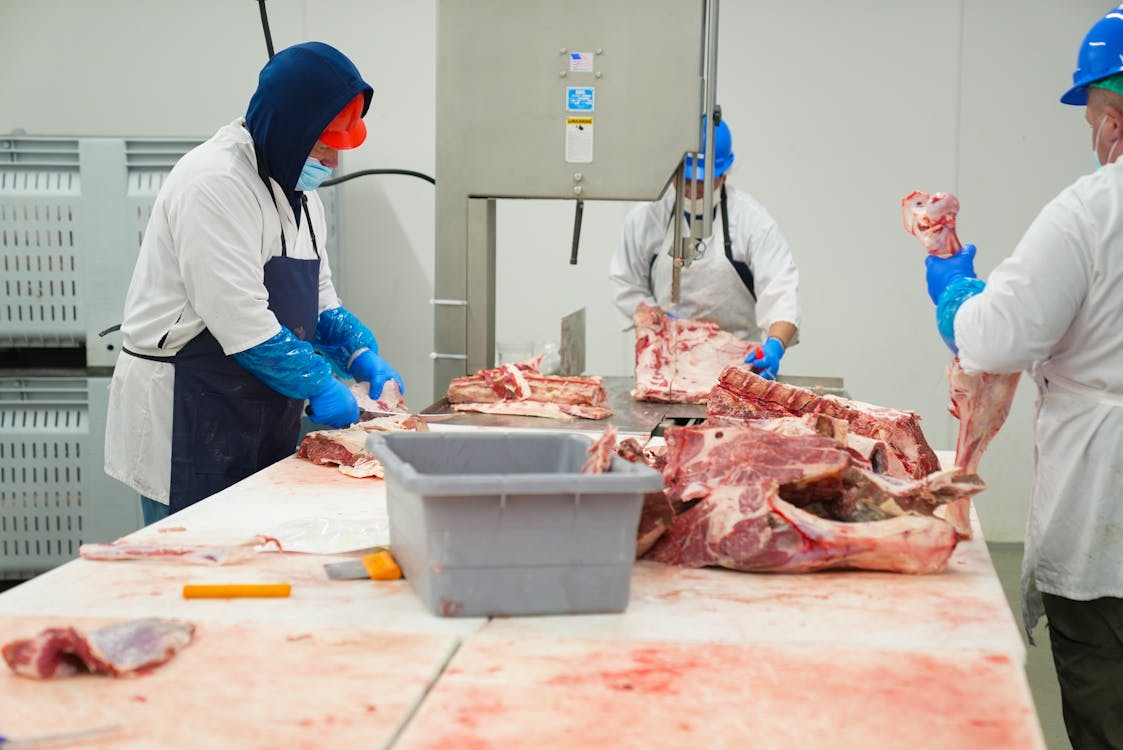 Curso Maquinaria Cárnica