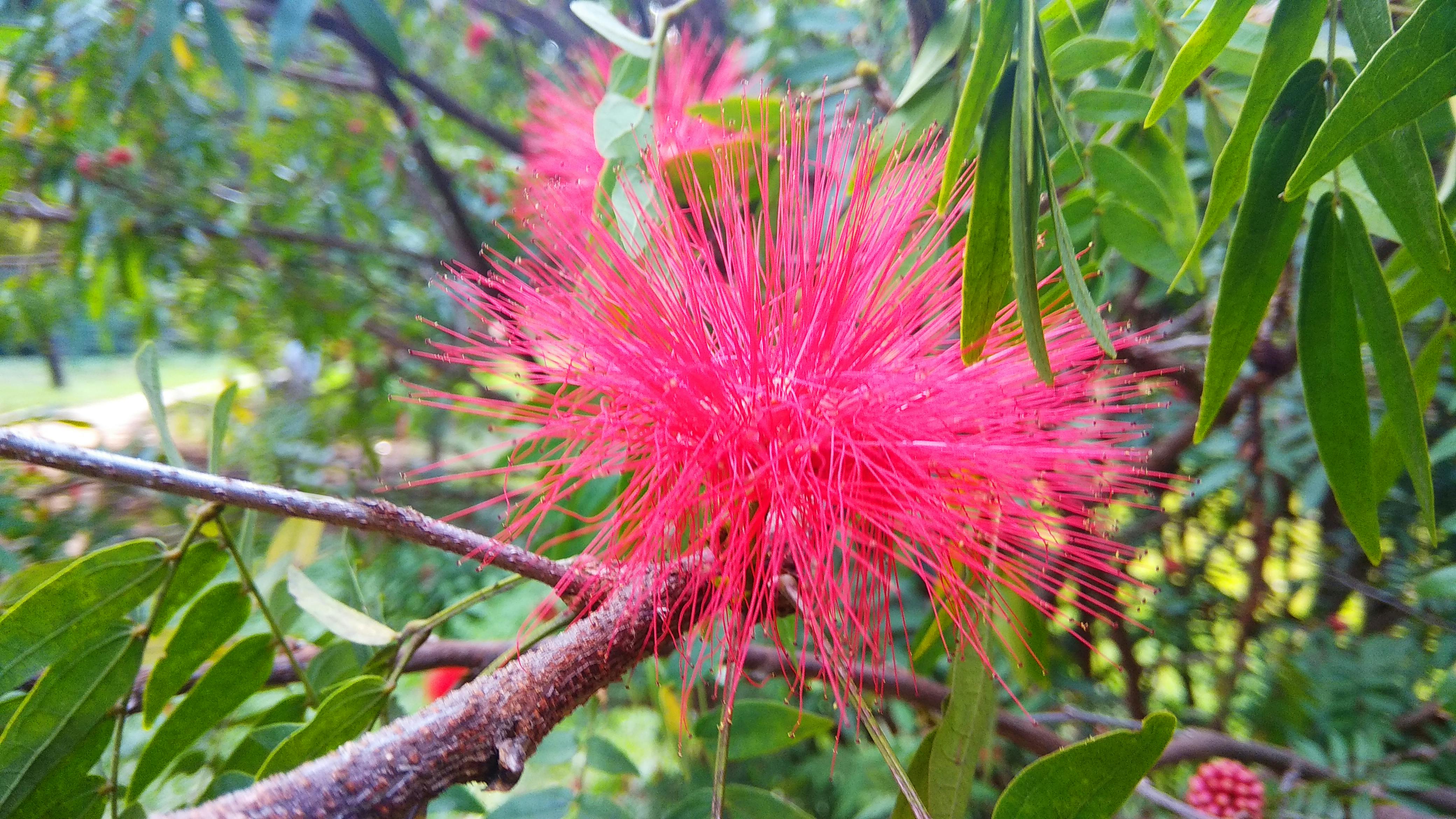 Person wearing wireless earbuds connected to an AI assistant on a smartphone