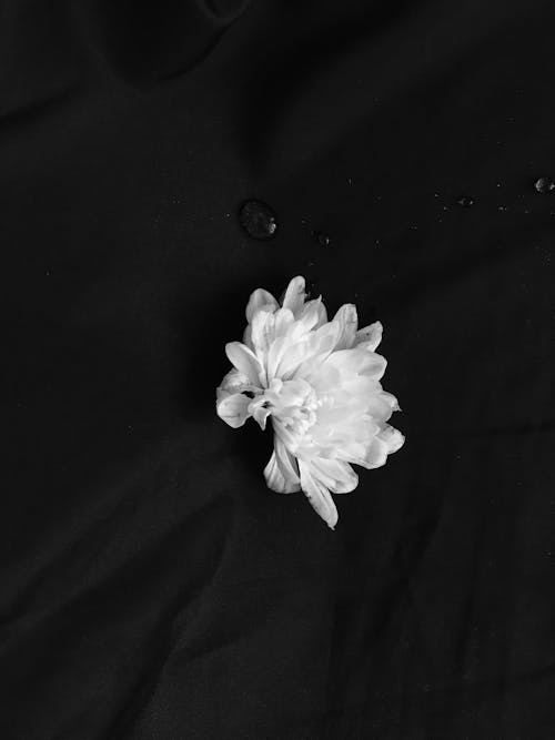 White Flower on Black Textile
