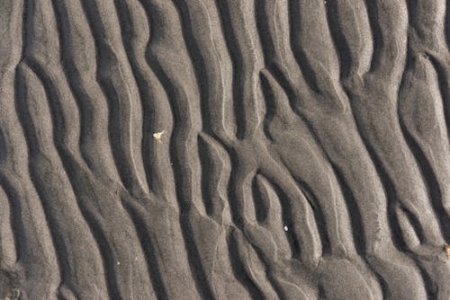 Photos gratuites de fermer, plage, sable