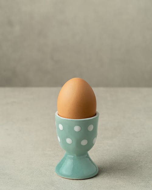 Whole chicken egg in round shaped green holder with white ornament on gray background