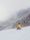 snowboard