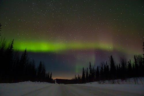 A Green Aurora Borealis at the Sky Over the Snow Covered Ground with Trees at Night
