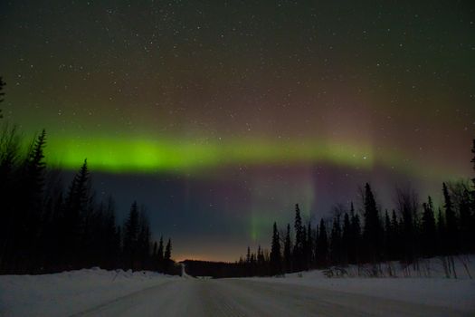 Vibrant aurora borealis illuminating the night sky over a snow-covered Russian forest.