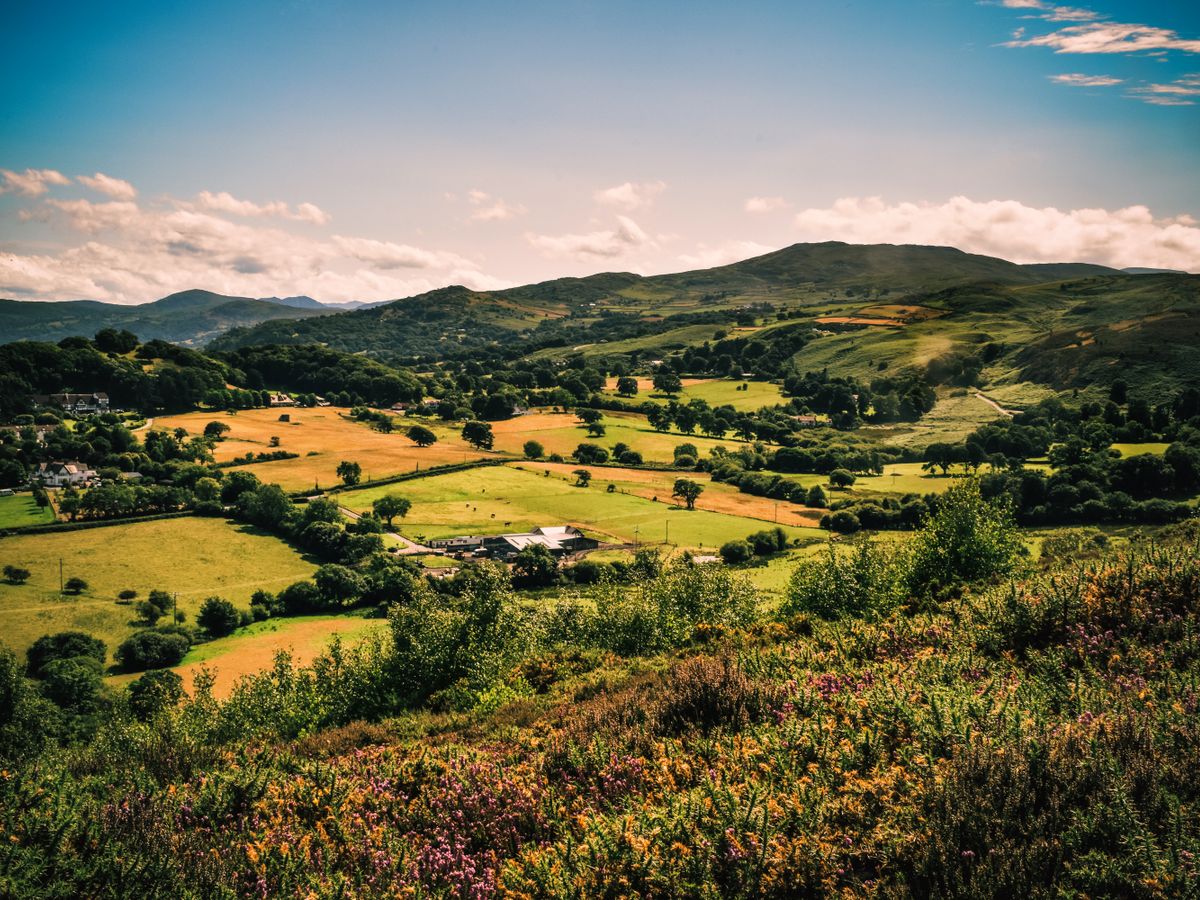 2 Day Intensive Ayurvedic Burnout Recovery Retreat in the UK 1