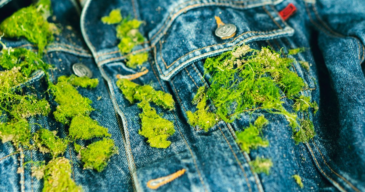 Image of eco-friendly textiles and fashion materials in a UK design school.