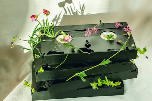 Close-up Shot of Cassette Tapes with Small Pieces of Flowers