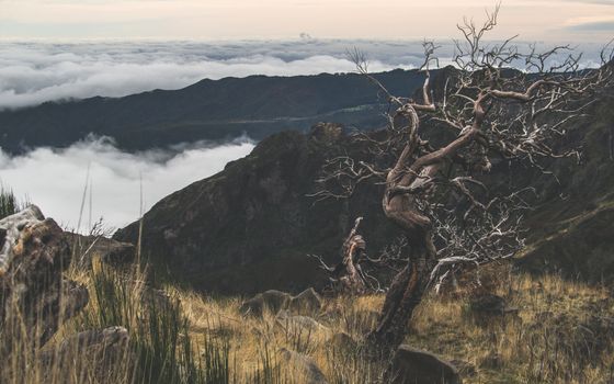 Pico Ruivo sunrise hike — Madeira