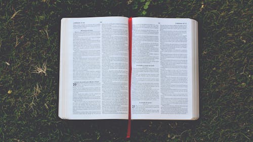 Fotobanka s bezplatnými fotkami na tému Biblia, čítanie, kniha