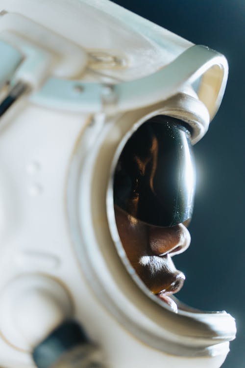 Free Foto profissional grátis de 3x4, astronauta, capacete Stock Photo