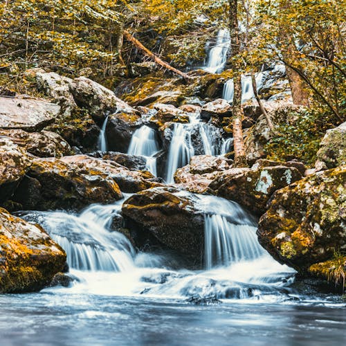 Immagine gratuita di acqua, alberi, cascata