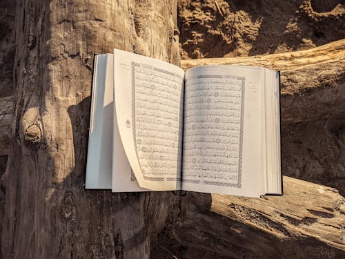 Darmowe zdjęcie z galerii z koran, książka, martwa natura