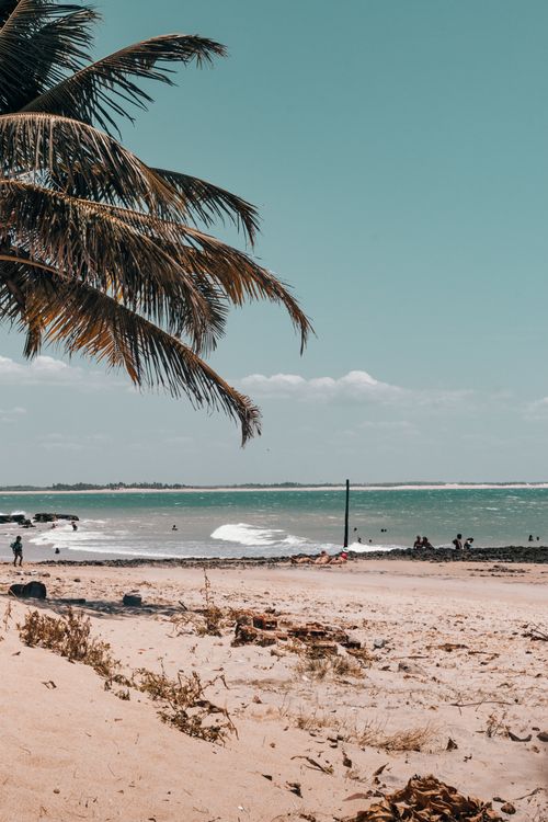Free Explore the serene Paracuru beach with coconut trees and waves under a blue sky in Brazil. Stock Photo