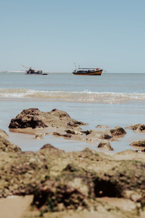 คลังภาพถ่ายฟรี ของ กลางแจ้ง, การเดินเรือ, ชายทะเล