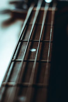 Detailed close-up of guitar strings on a wooden fretboard highlighting musical intricacies.