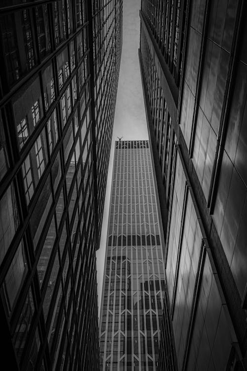 Foto profissional grátis de arranha-céu, edifícios, escala de cinza