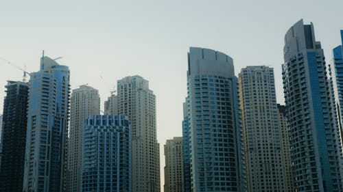 High Rise Buildings During Day Time