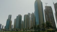Green Trees Near High Rise Buildings