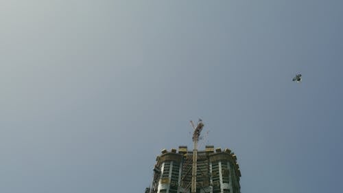 Foto profissional grátis de ave, céu azul, construção