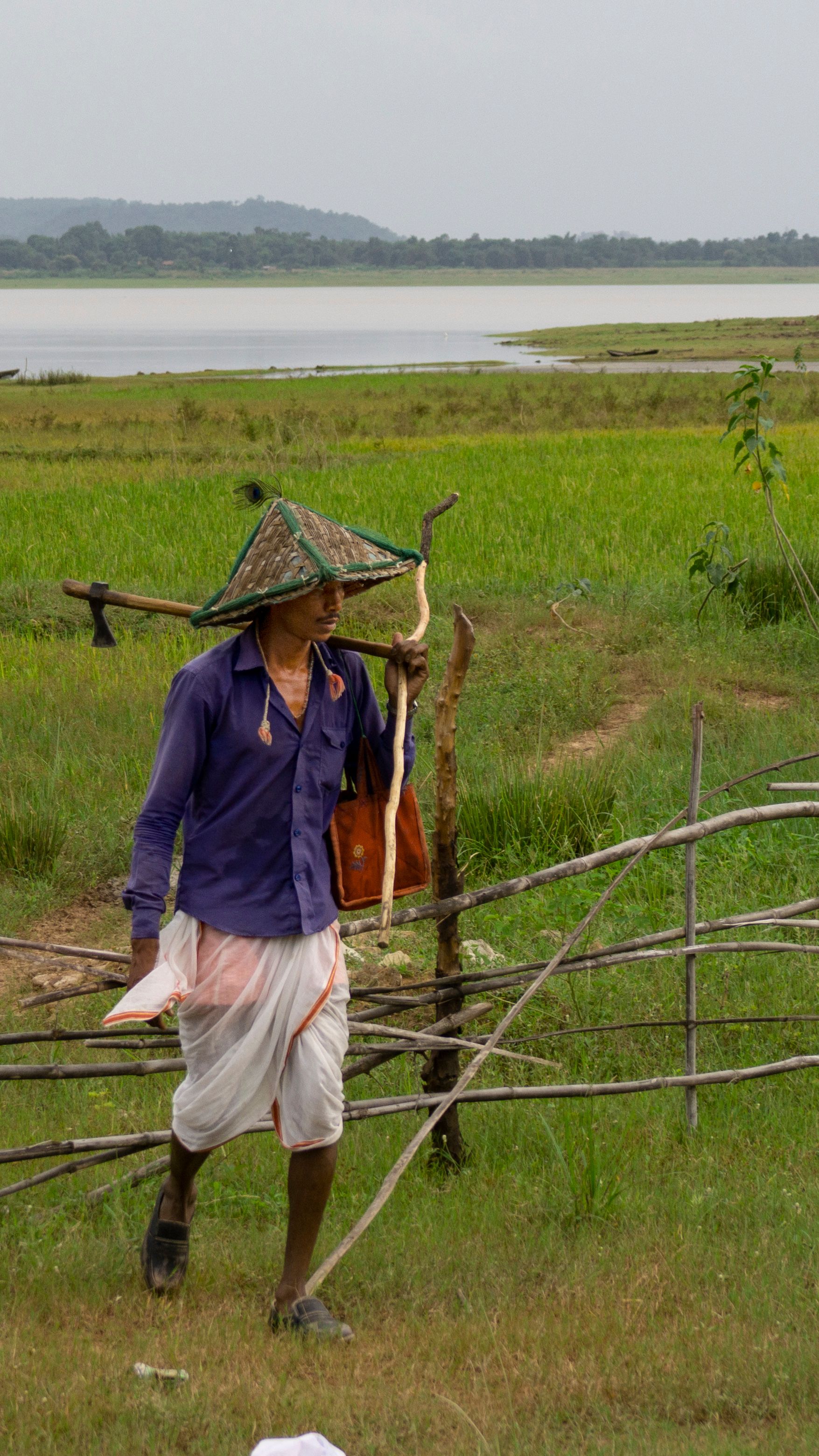 South Asian farmer in traditional attire walking through a green farm field by the lake.