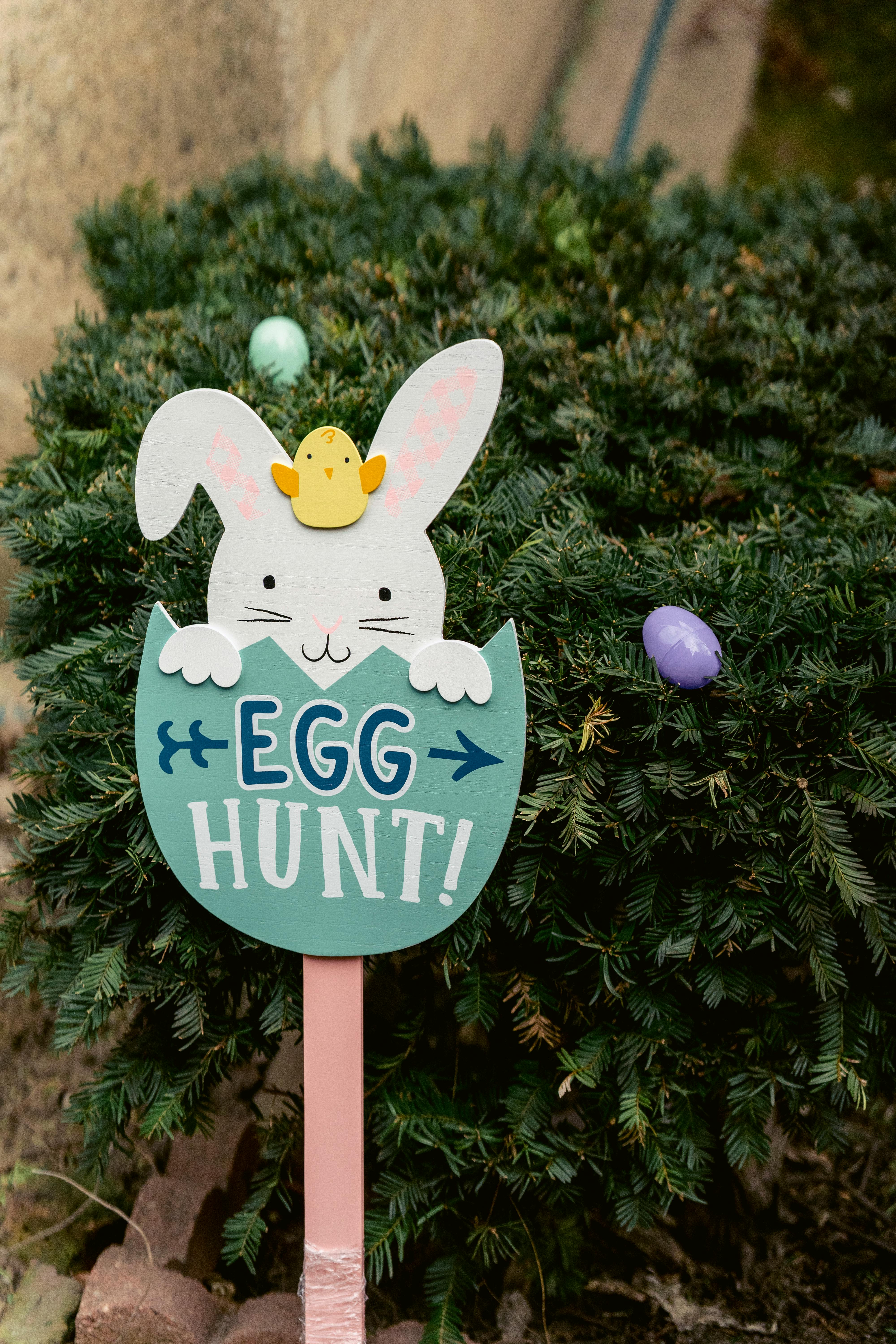 Decorative sign with inscription and bunny placed near green branches of tree with colorful eggs during Easter celebration on street