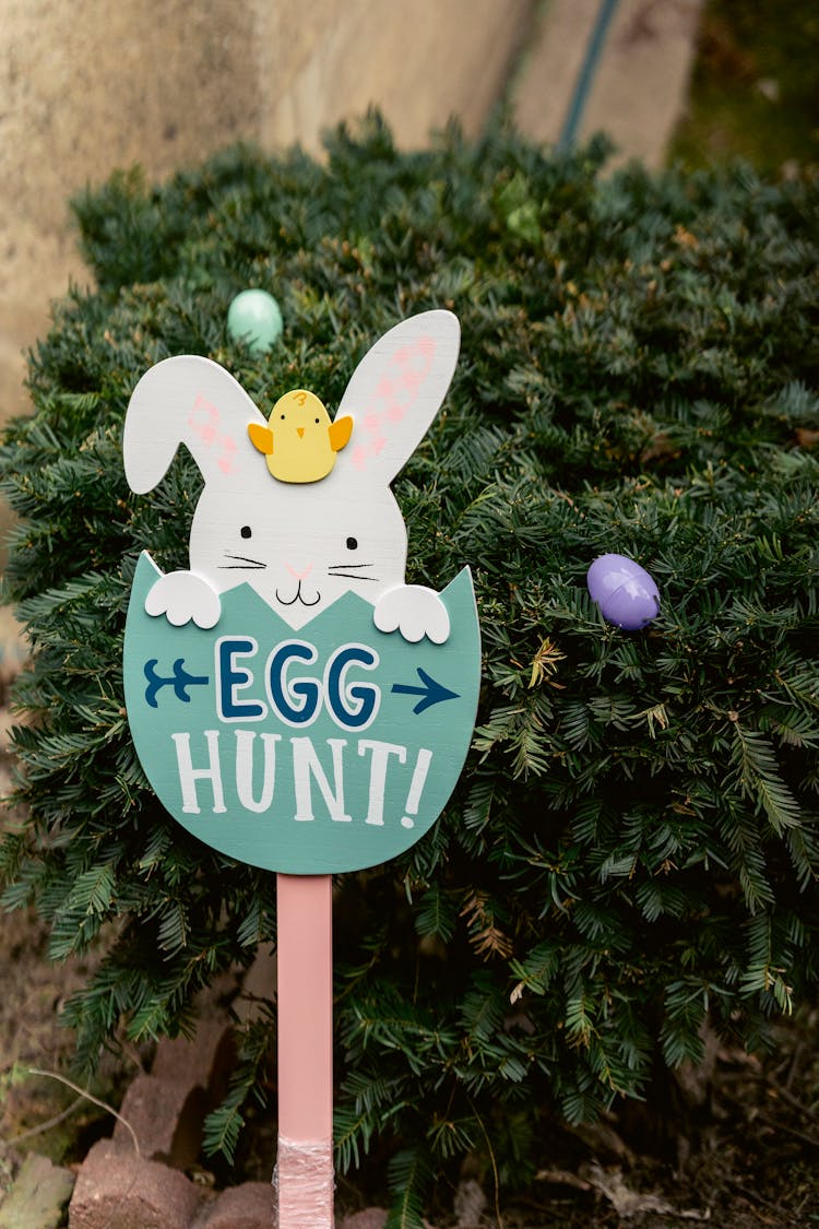 Egg Hunt Inscription Near Coniferous Branches