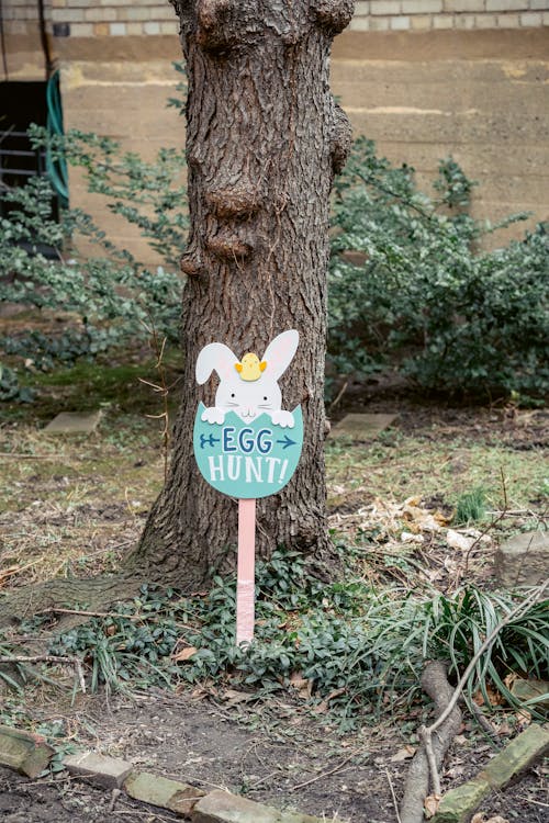 Wooden signpost with inscription Egg Hunt with directing arrows placed in spring park during Easter holiday