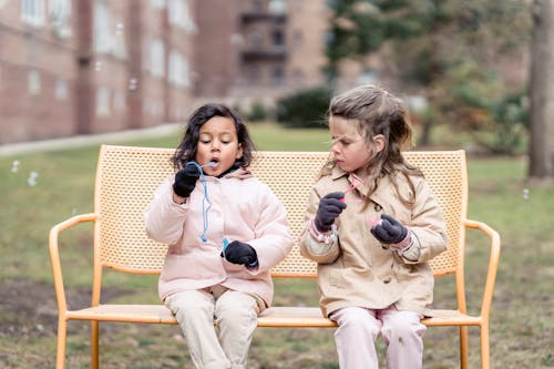 Fotos de stock gratuitas de actividad, adorable, al aire libre