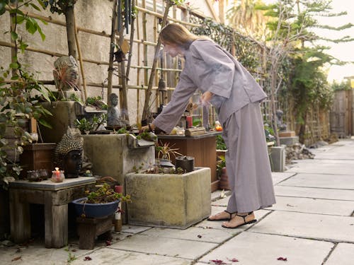 açık hava, bitkiler, Buda içeren Ücretsiz stok fotoğraf