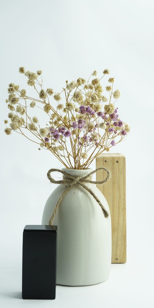 Free A minimalist still life featuring a ceramic vase with dried flowers against a white background, conveying simplicity. Stock Photo