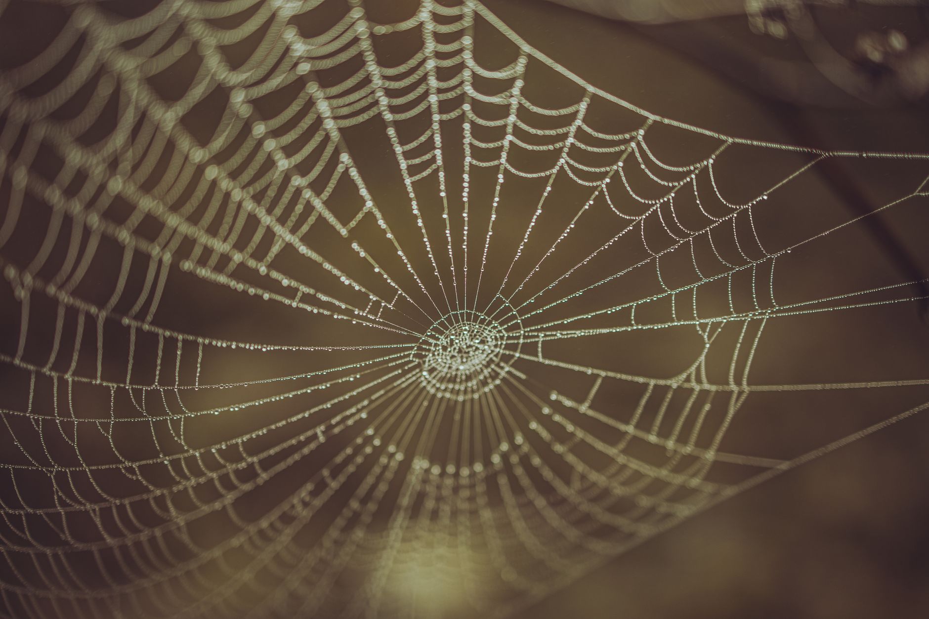 web scraping without getting blocked