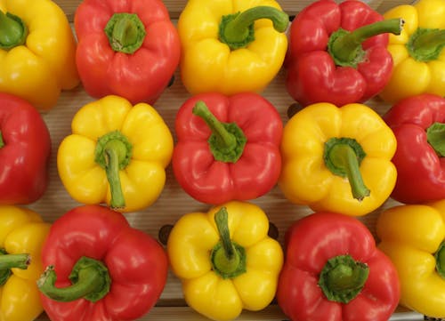 Free stock photo of colors, peppers Stock Photo