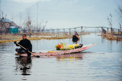 Free Man rowing a boat filled with vibrant flowers on a scenic lake with misty mountains in the background. Stock Photo