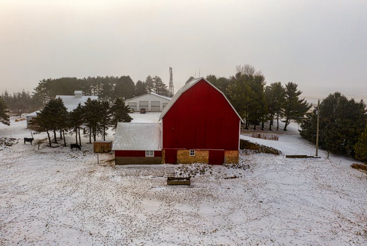 Wooden Farm House In Winter Rural Landscape