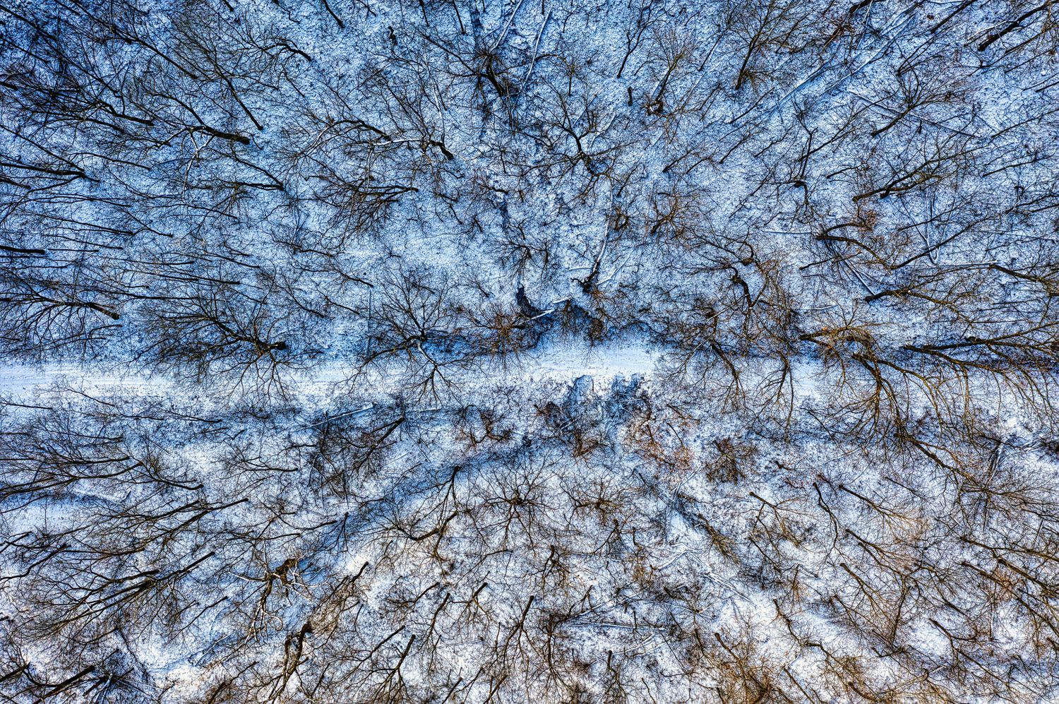 Winter Imagery Photos, Download The BEST Free Winter Imagery Stock ...