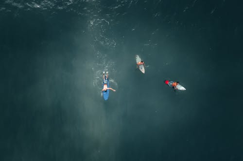 Men Surfing in the Sea