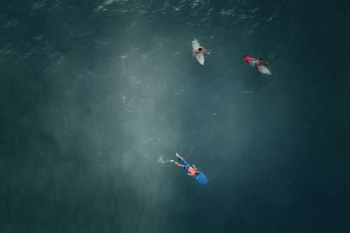 Drone Shot of Men Surfing