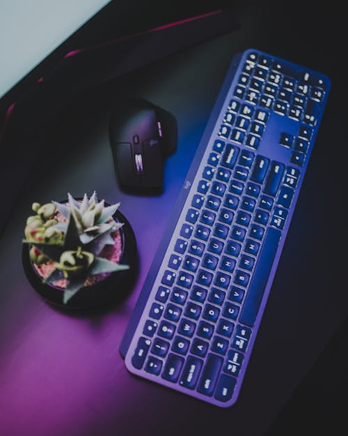 From above of modern wireless keyboard with colorful backlit placed near mouse and potted succulent near monitor