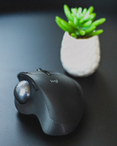 Small computer mouse placed near potted plant