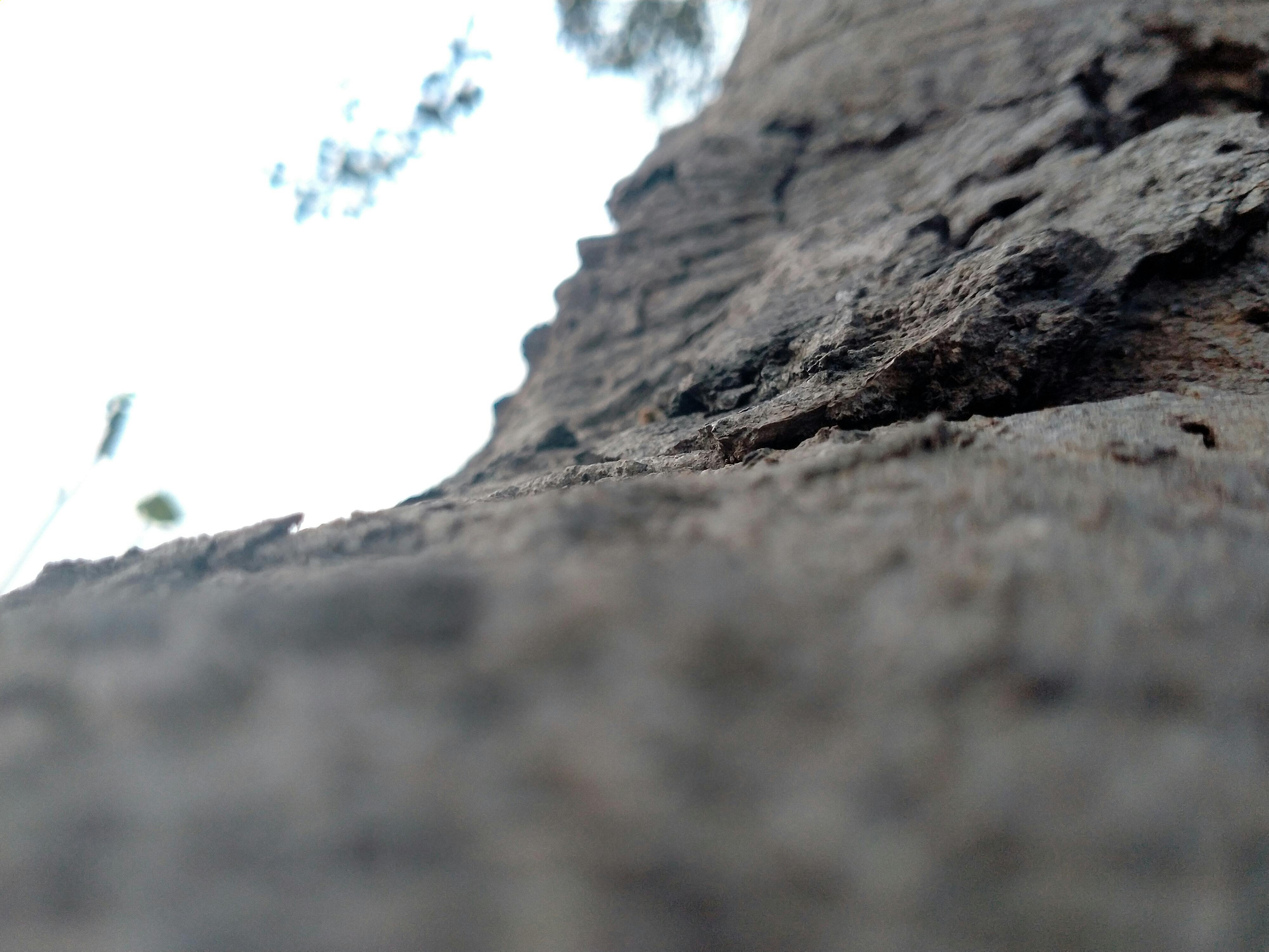 아보카도 토스트