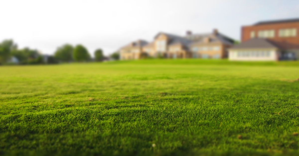 Expansive green lawn with a blurred building in the distance under a clear sky.