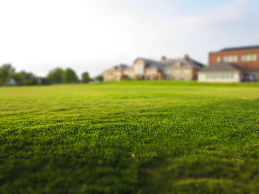 Autumn is All About Lawn Care - JoesLawnCare - blog-post