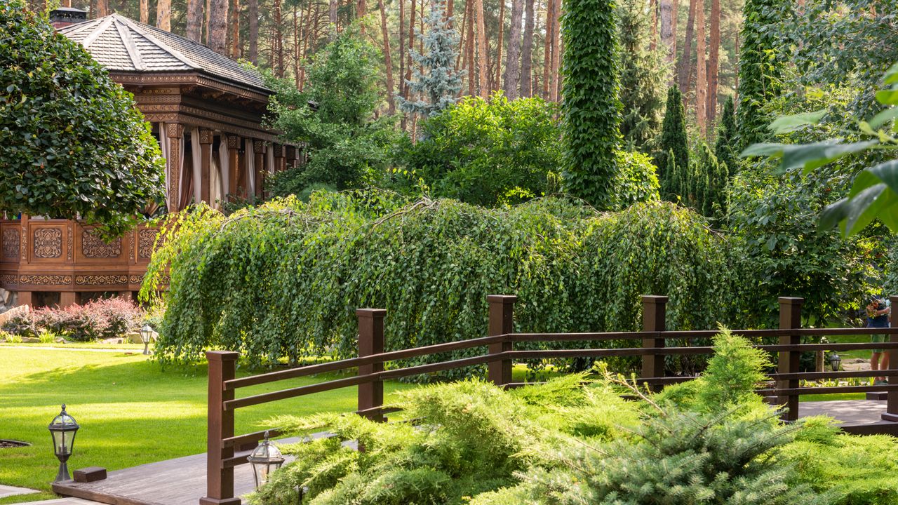 A finished landscape: mown lawn, planted beds and a path through mature shrubs