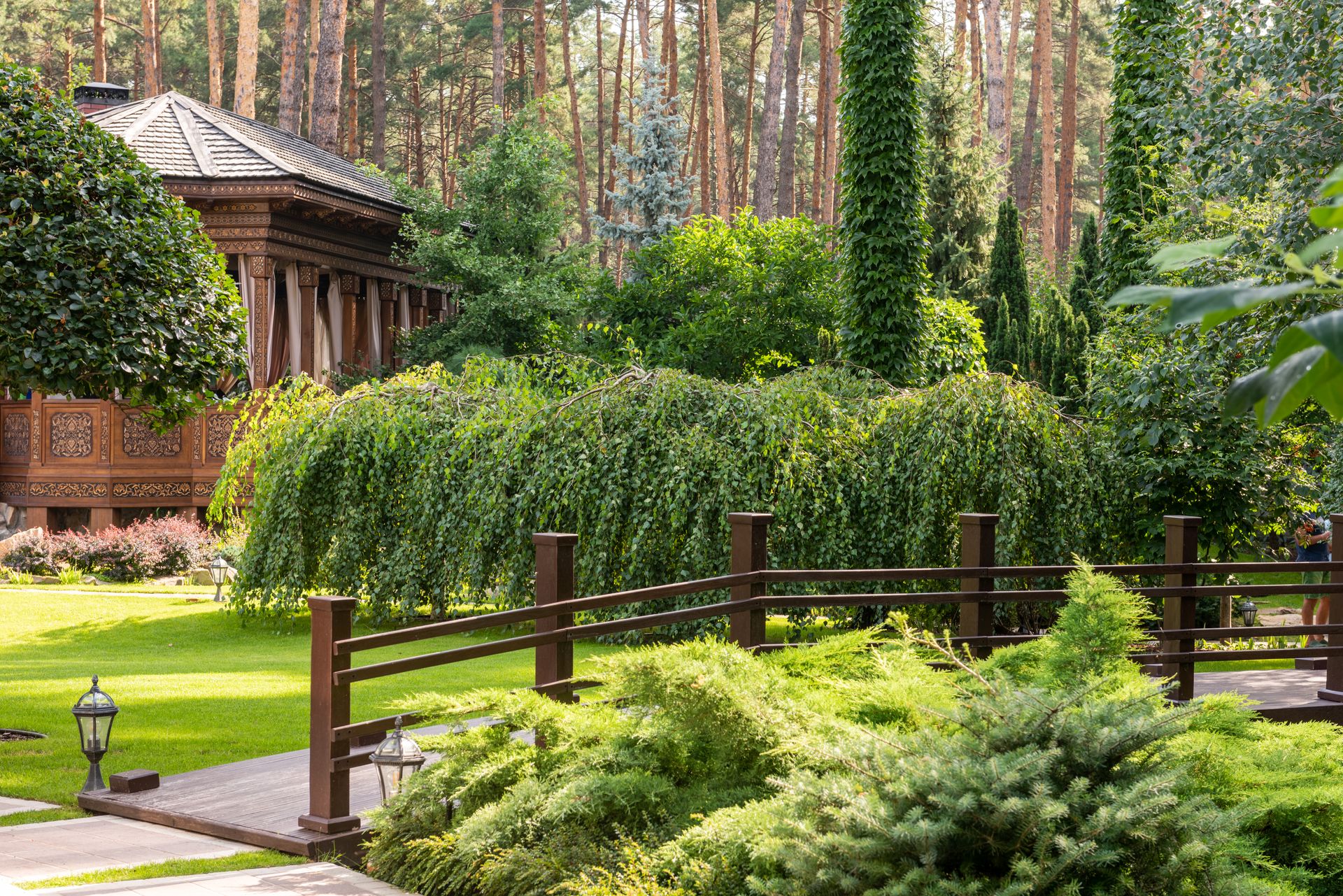 A peaceful garden featuring a wooden gazebo surrounded by lush green plants and trees in daylight.