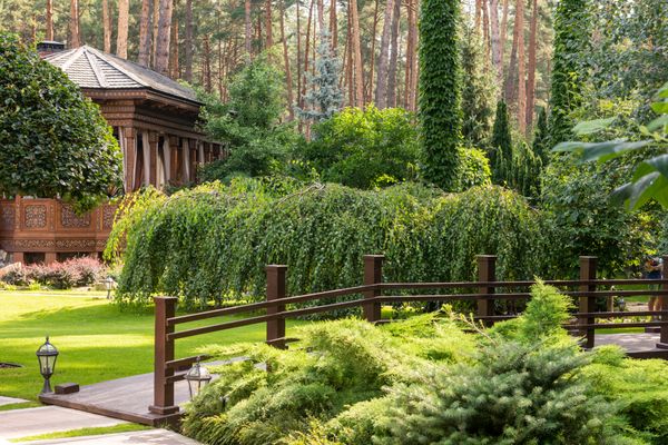 Modern garden landscaping with flower beds