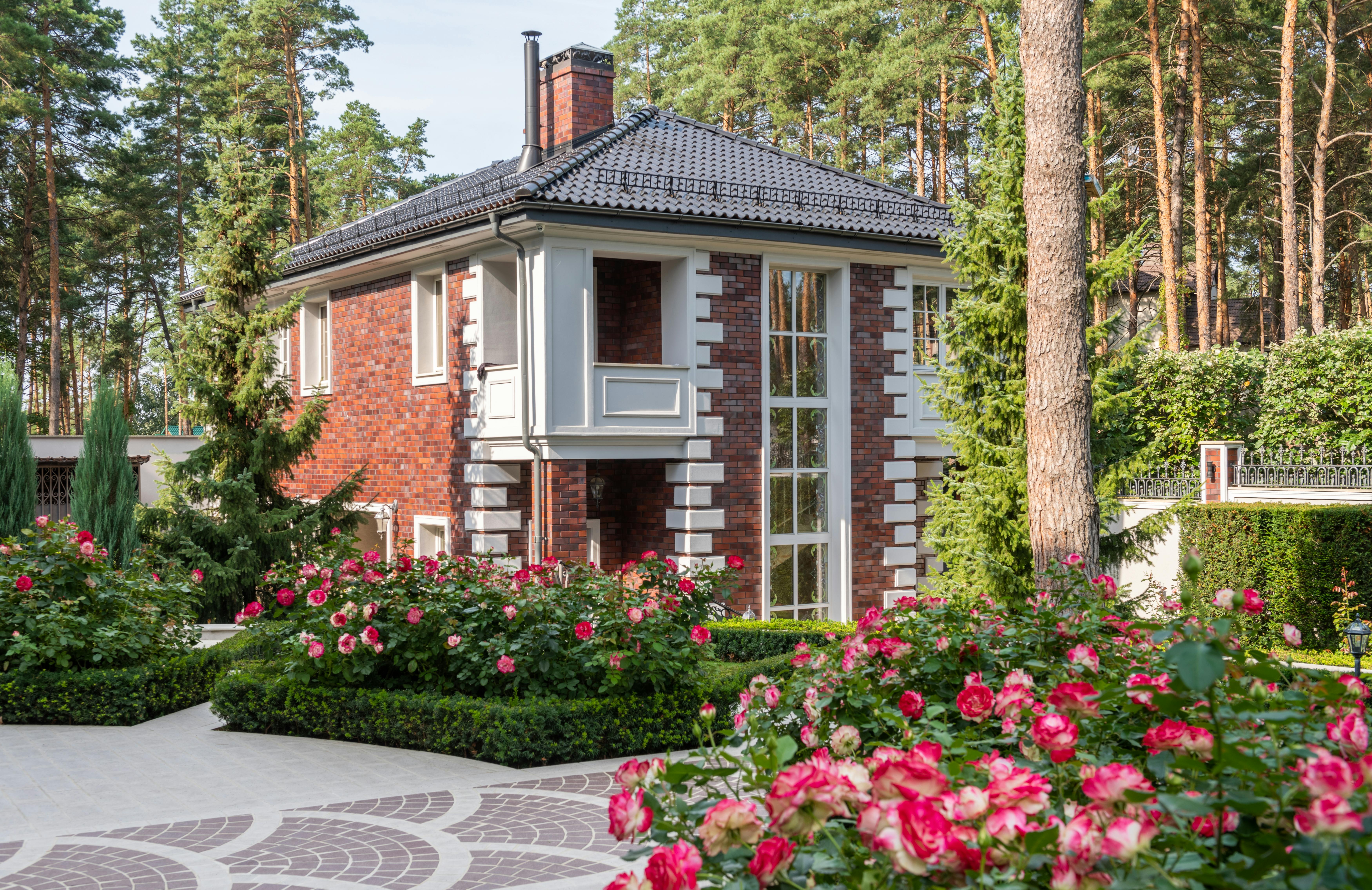 Cottage-style house with formal roses and layered planting