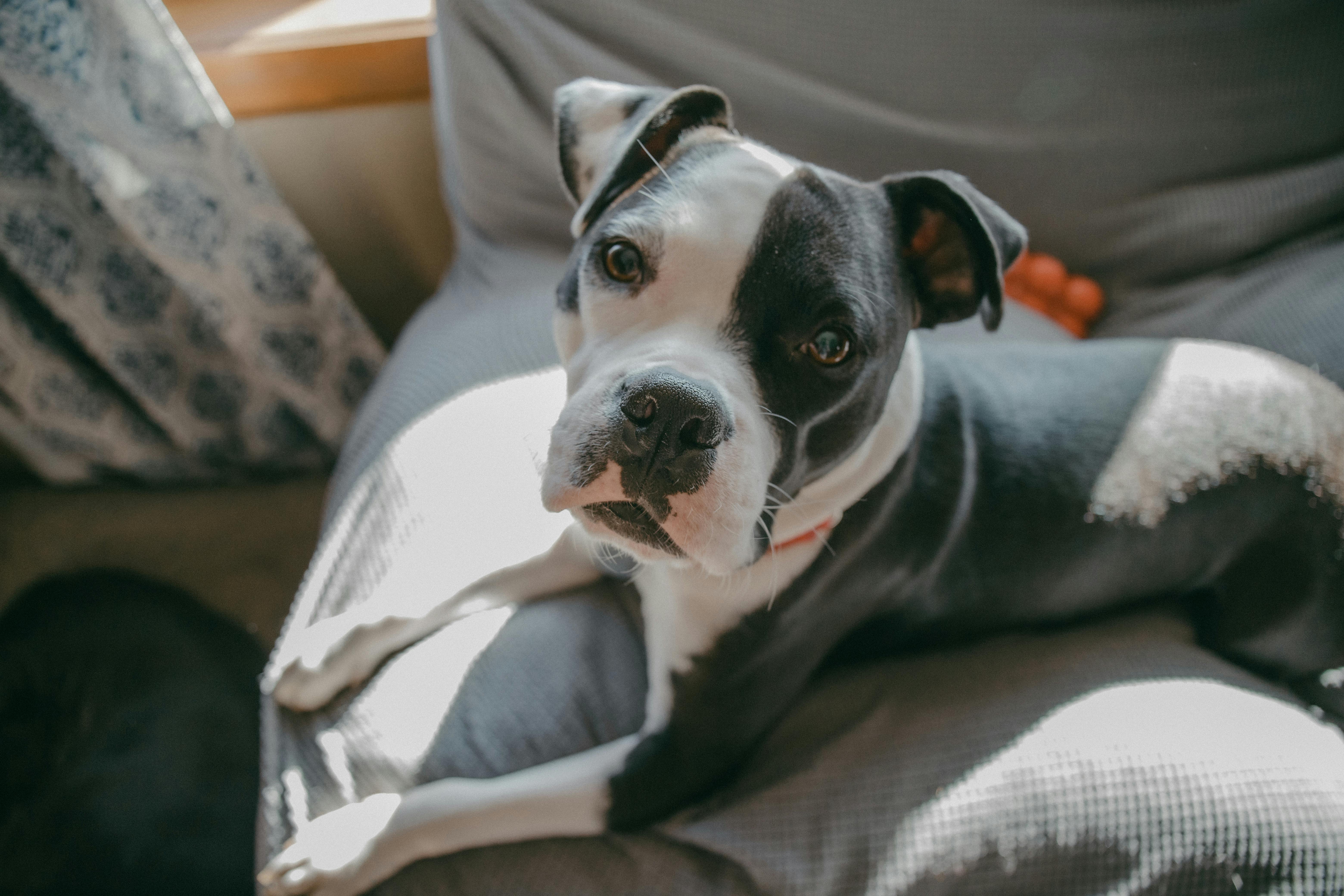 Ethan Townsend 摄影