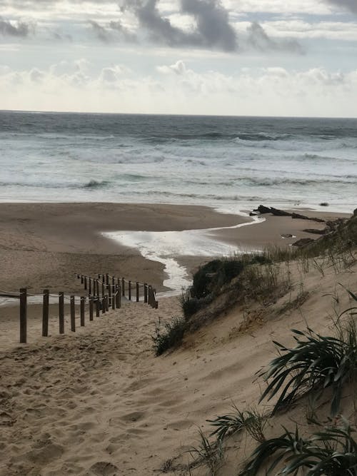 A Brown Sand Near the Body of Water