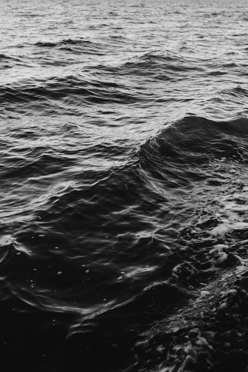 Immagine gratuita di acqua, bianco e nero, corpo d'acqua
